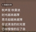 ʫС 