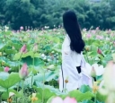 ��ʫ�衿����ϧ