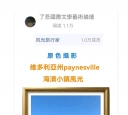 zӰpaynesvilleIСL