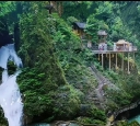 zӰկٲ