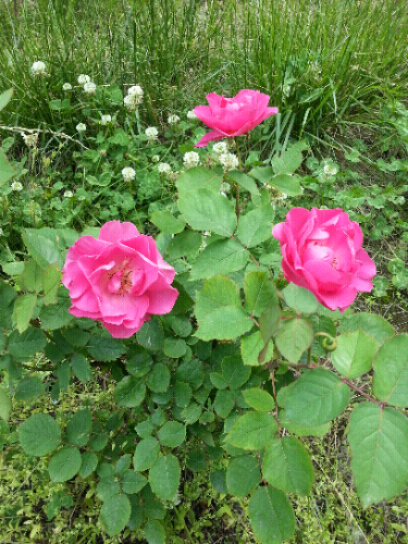 20150509_151141.jpg