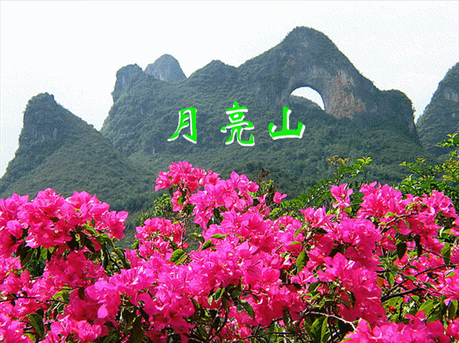 ɽˮ10.gif