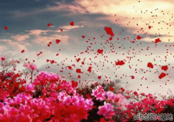 仨8.gif