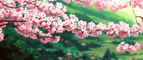 仨9.gif