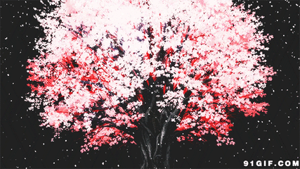 仨11.gif
