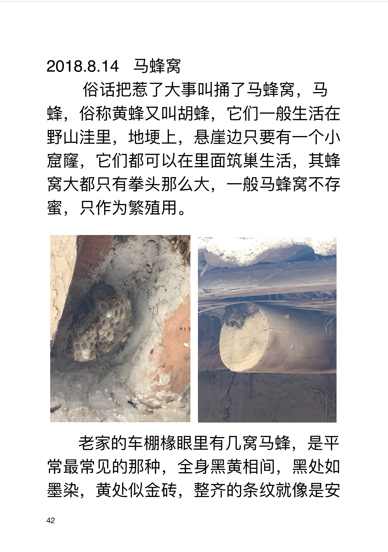 IMG_0_conew1.png