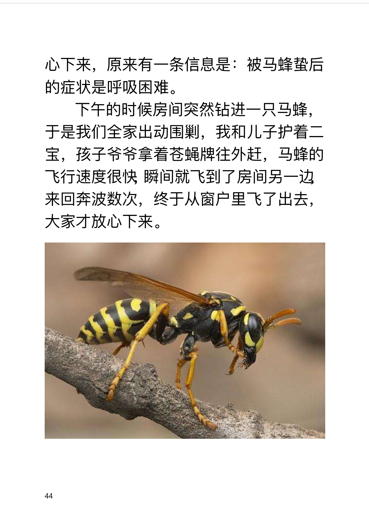 IMG_2_conew1.png