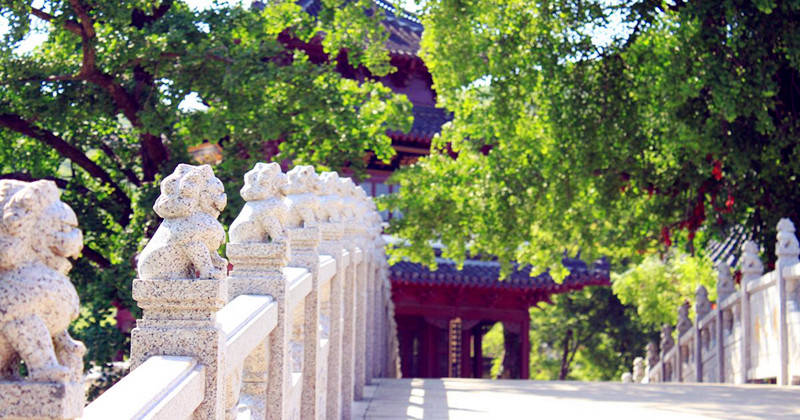 宝华7.jpg