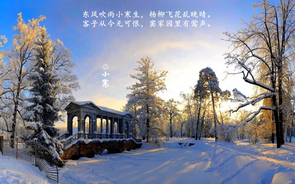 冬-小寒诗19300545150236153405388586212_950_副本.jpg