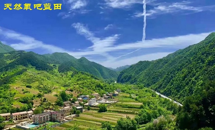 蓝.jpg
