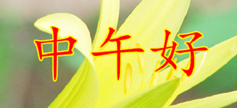 12606ACA8E28A6A7249EA16A58E9852AE5EBA7C2_size841_w1000_h563.png