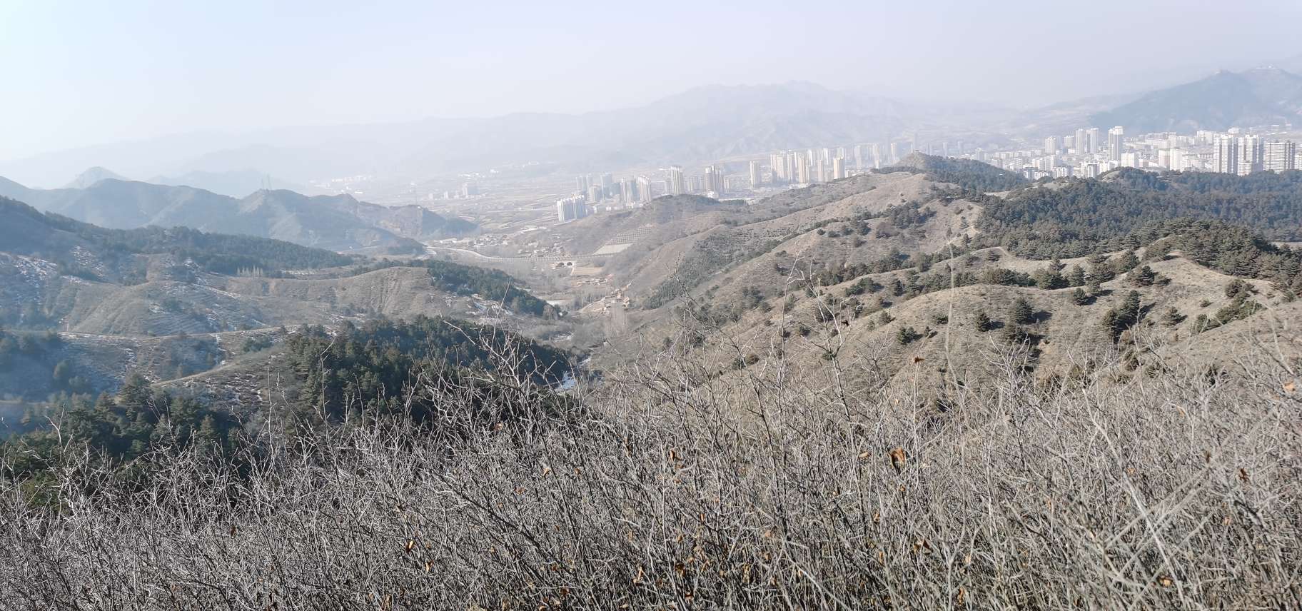 13c8de6c-53d6-4547-ad81-558fddfabace_284318.jpeg