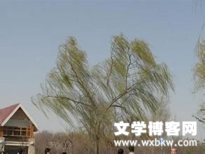 162952mzg4qofnnbc9kf7n.jpg