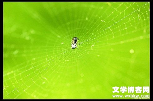 201019i2i4dhzl4l7hill4.jpg