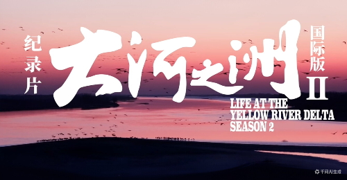 a805f1ddc3bb4f92b6c0591785753b8c.png
