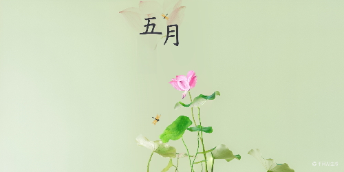 9a944bea6bd643fbbe3a20ca8655bfd8.png