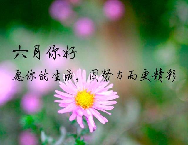 63d9f2d3572c11df01a1c0c11b6cdcd6f603c2b6.jpeg