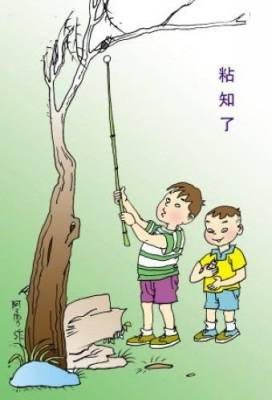 221634jgcd8ds7ss2scsdp.jpg.thumb.jpg