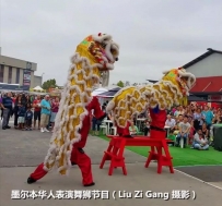 澳洲华人舞狮联欢（二）