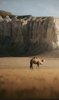 �zӰ�������p��·�ںη���