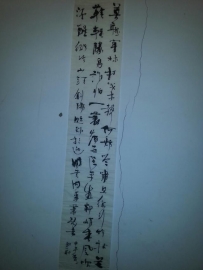鷨
